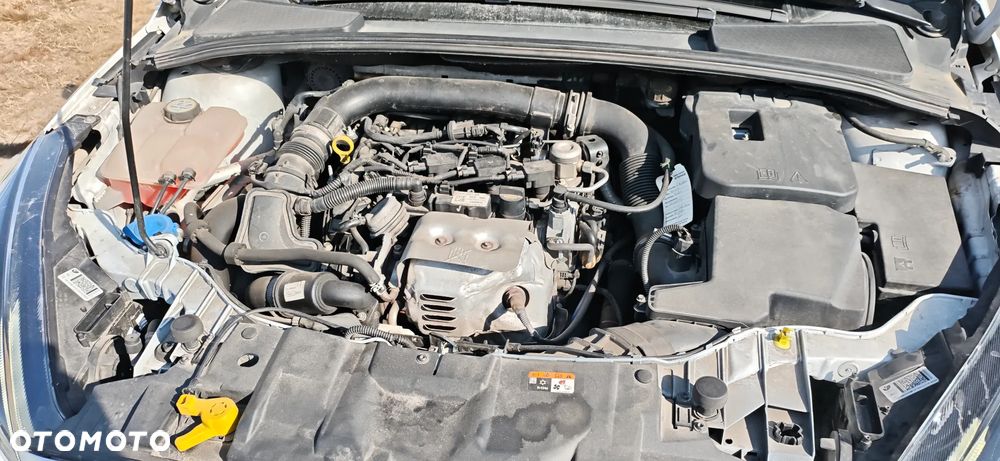 Ford Focus 1.0 EcoBoost ST-Line ASS - 15