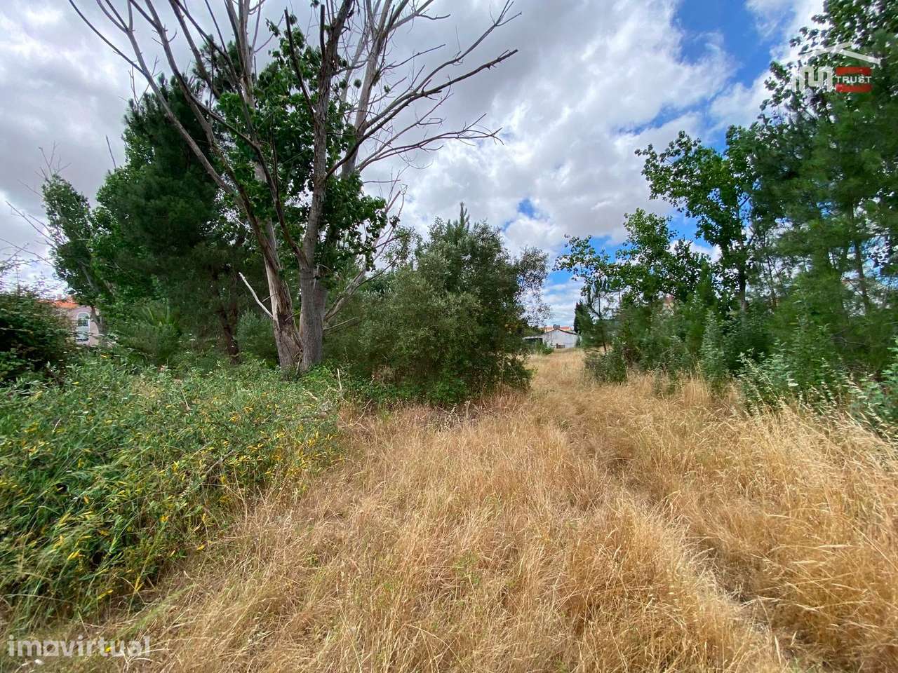 LOTE URBANO PARA CONSTRUÇÃO DE PRÉDIO | CENTRO DO PINHAL NOVO - Grande imagem: 2/8