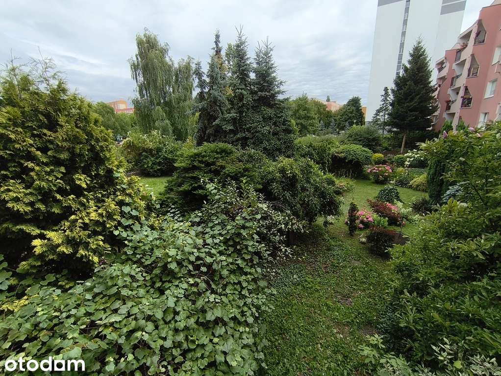 Mieszkanie w dobrej lokalizacji, wszystko blisko