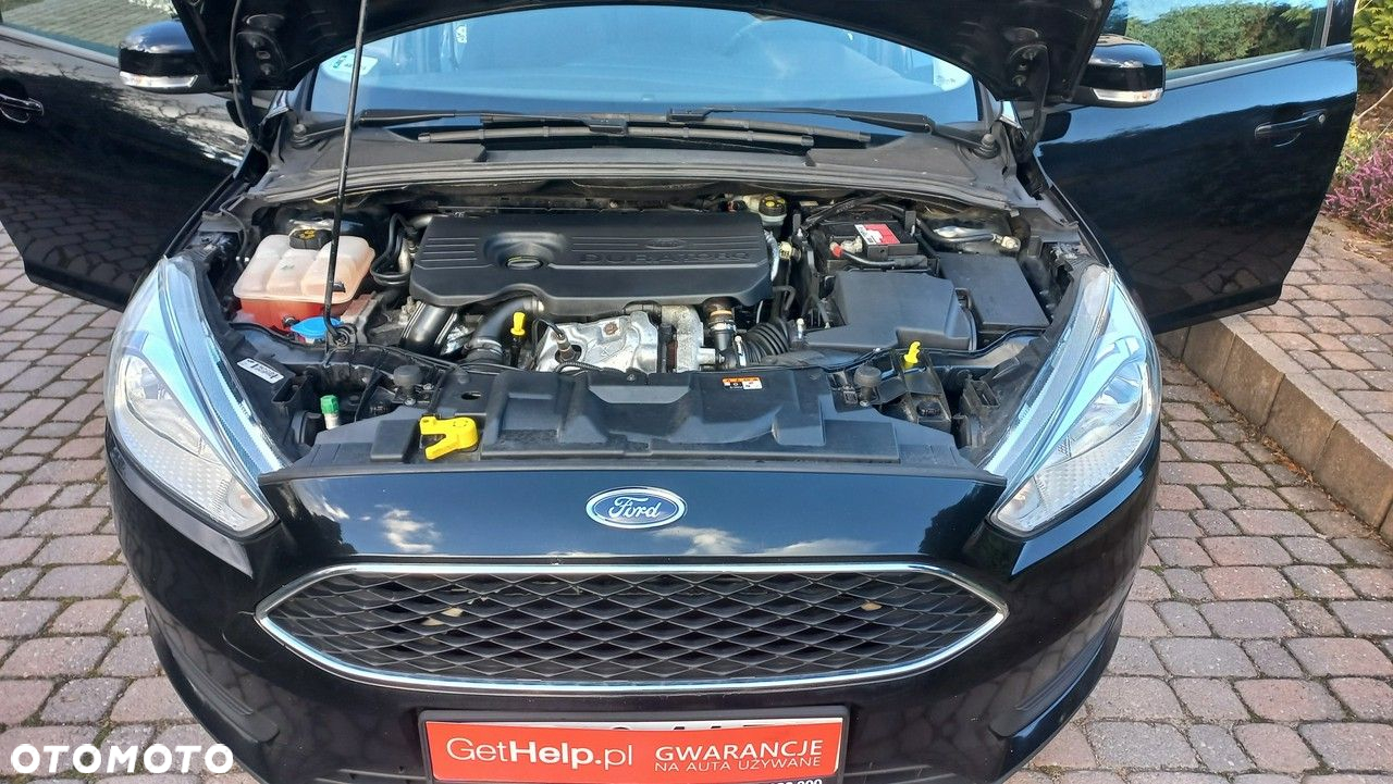 Ford Focus - 16