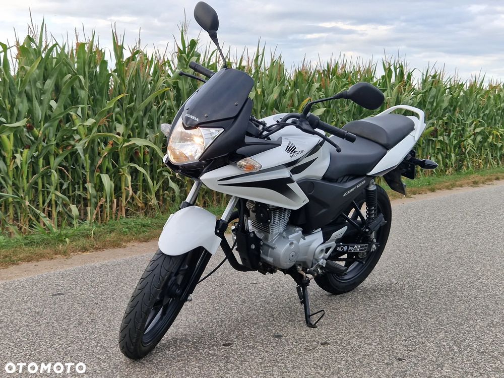 Honda CBF - 7