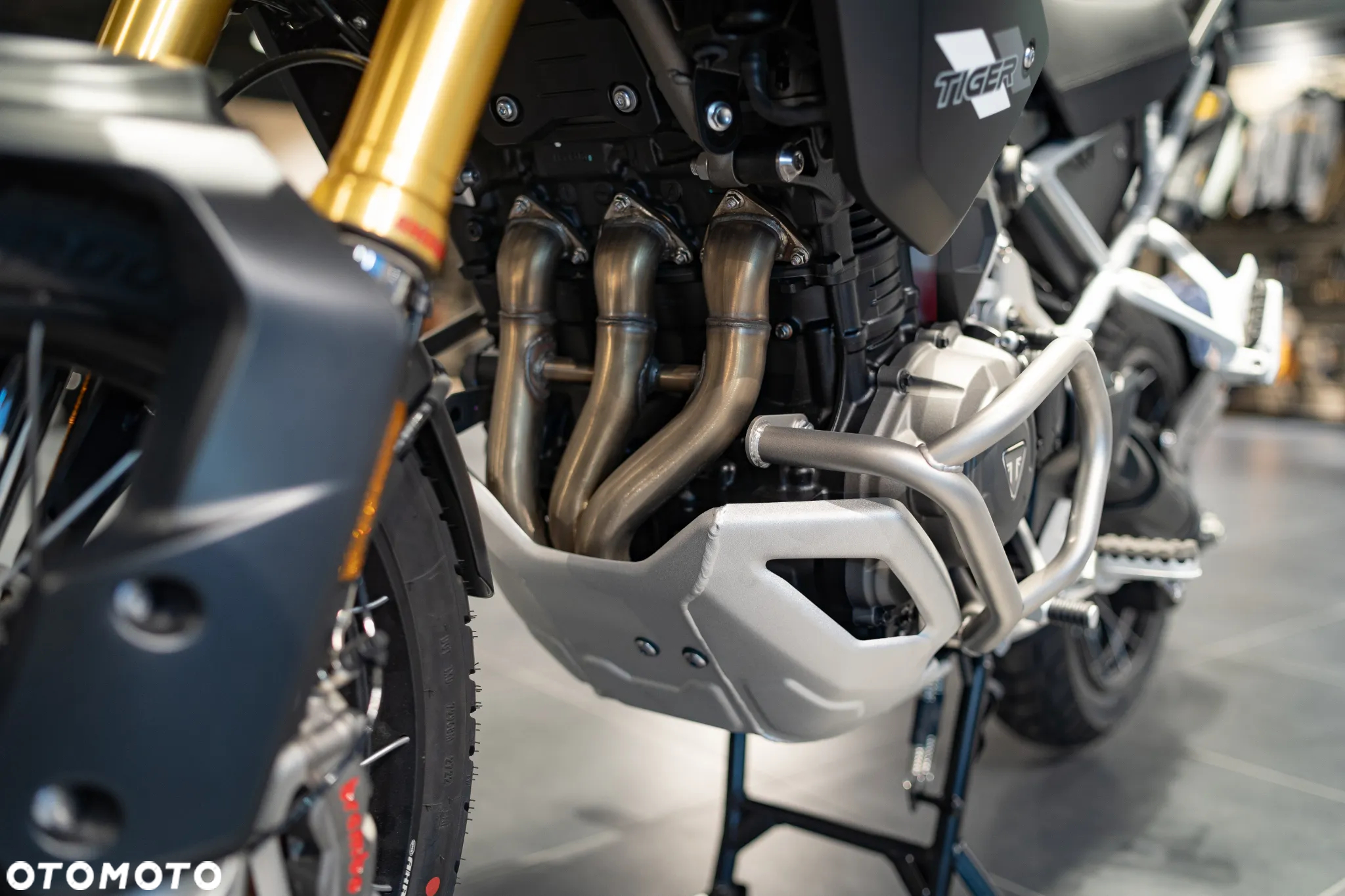 Triumph Tiger - 18