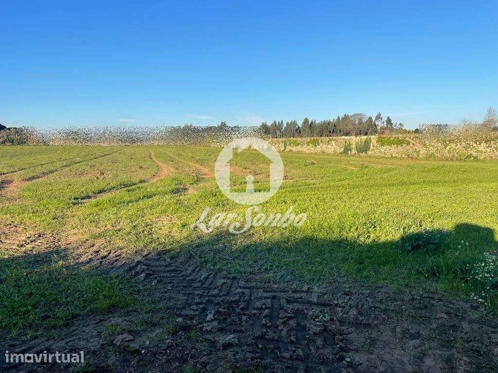 Terreno construção de moradias com 9.900m2 em Junqueira - Vila do C... - Grande imagem: 2/3