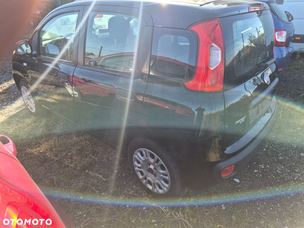 Fiat Panda - 2