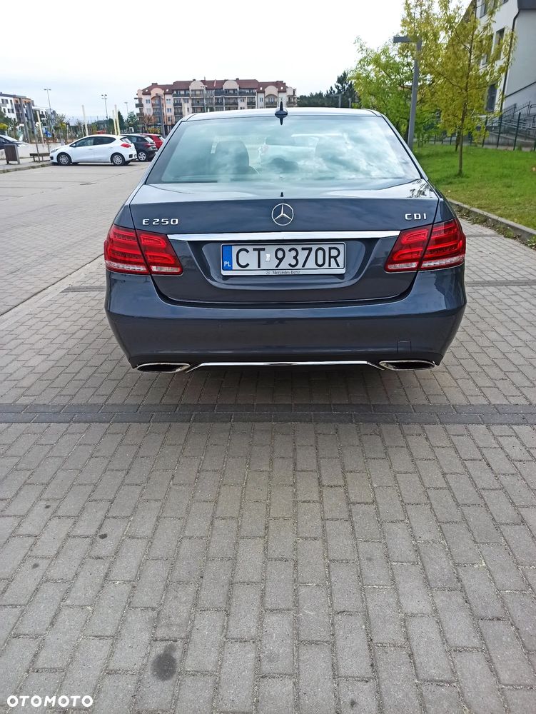 Mercedes-Benz Klasa E 250 CDI 7G-TRONIC Elegance - 5