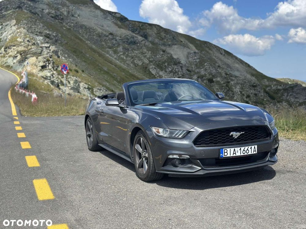 Ford Mustang - 19