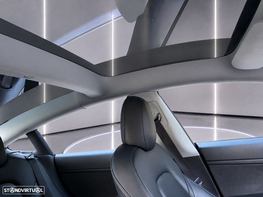 Tesla Model 3 Standard Range Plus RWD - 24