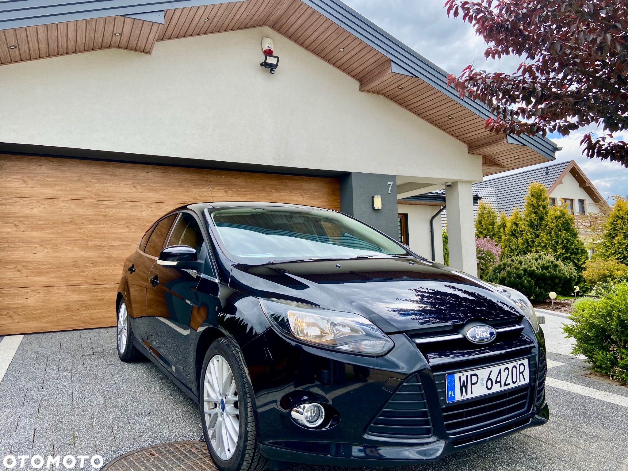 Ford Focus - 1