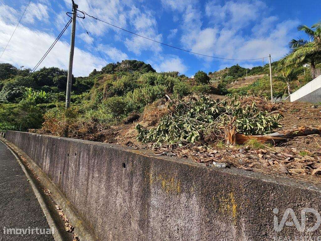 Terreno Agrícola em Porto da Cruz - Grande imagem: 4/7
