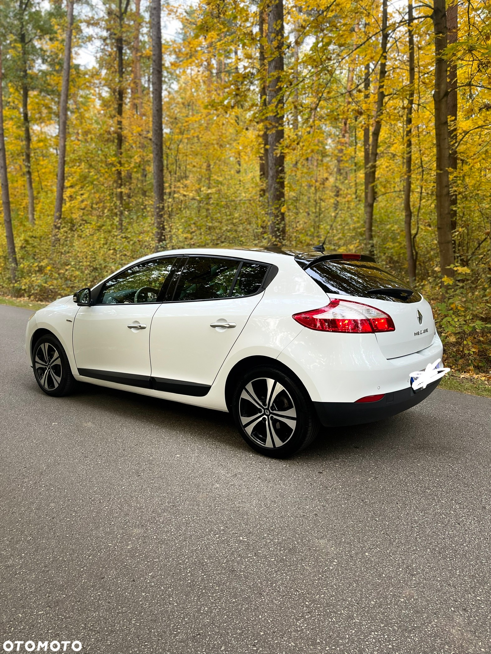 Renault Megane 1.4 16V TCE Bose Edition - 8