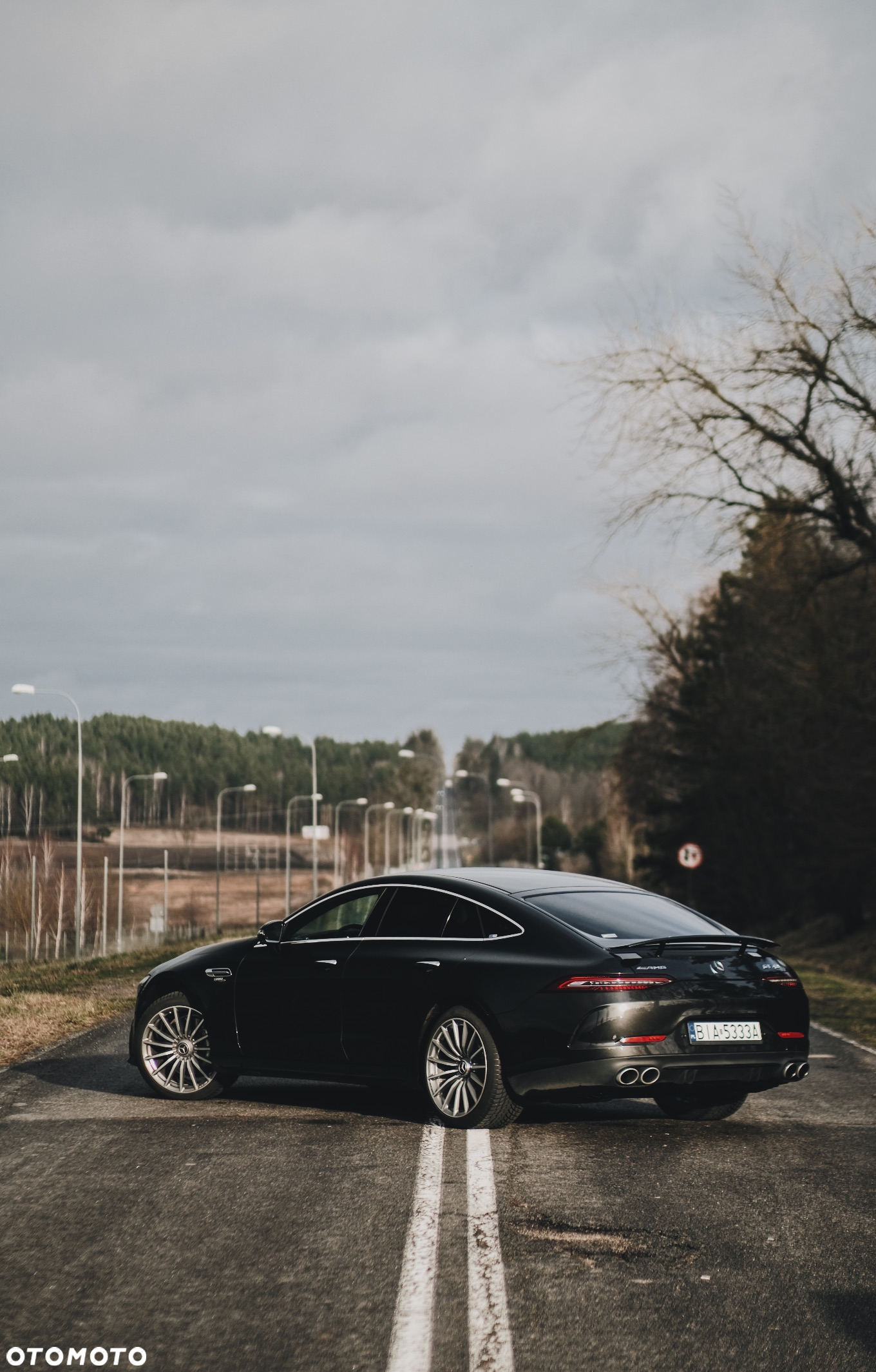 Mercedes-Benz AMG GT 43 4Matic+ Coupe 4D Speedshift TCT 9G - 24