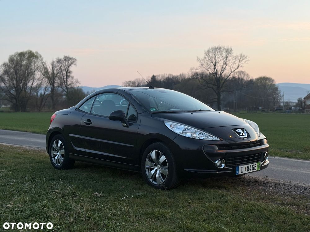 Peugeot 207 - 8