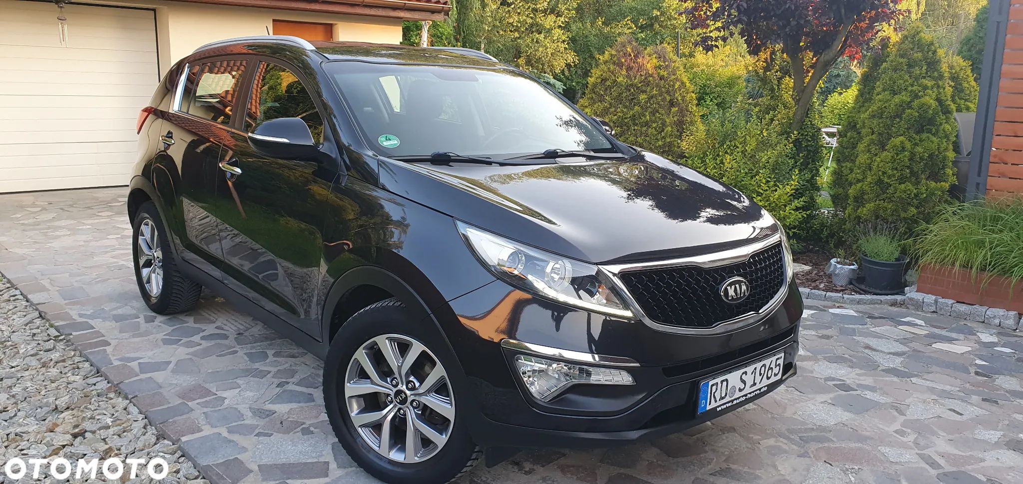 Kia Sportage - 1