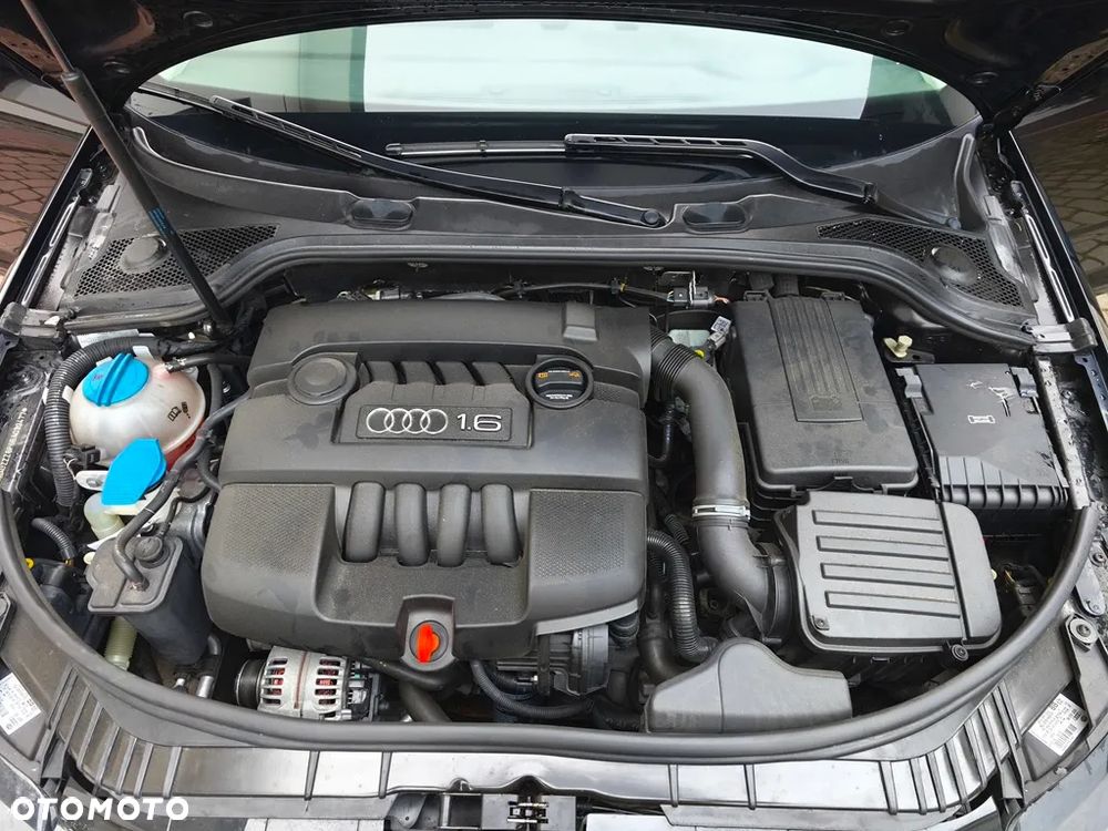 Audi A3 Sportback 1.6 Attraction - 24