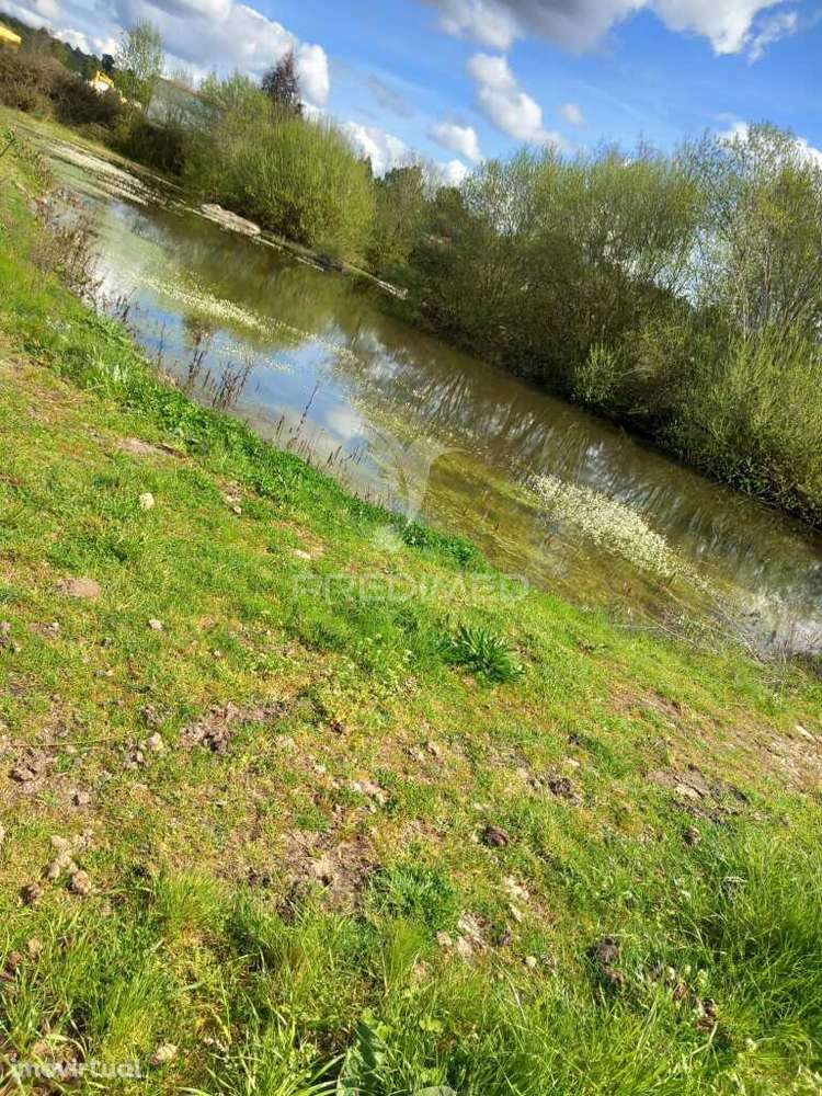 Quinta à venda com 6 Hectares – Mêda - Grande imagem: 3/13