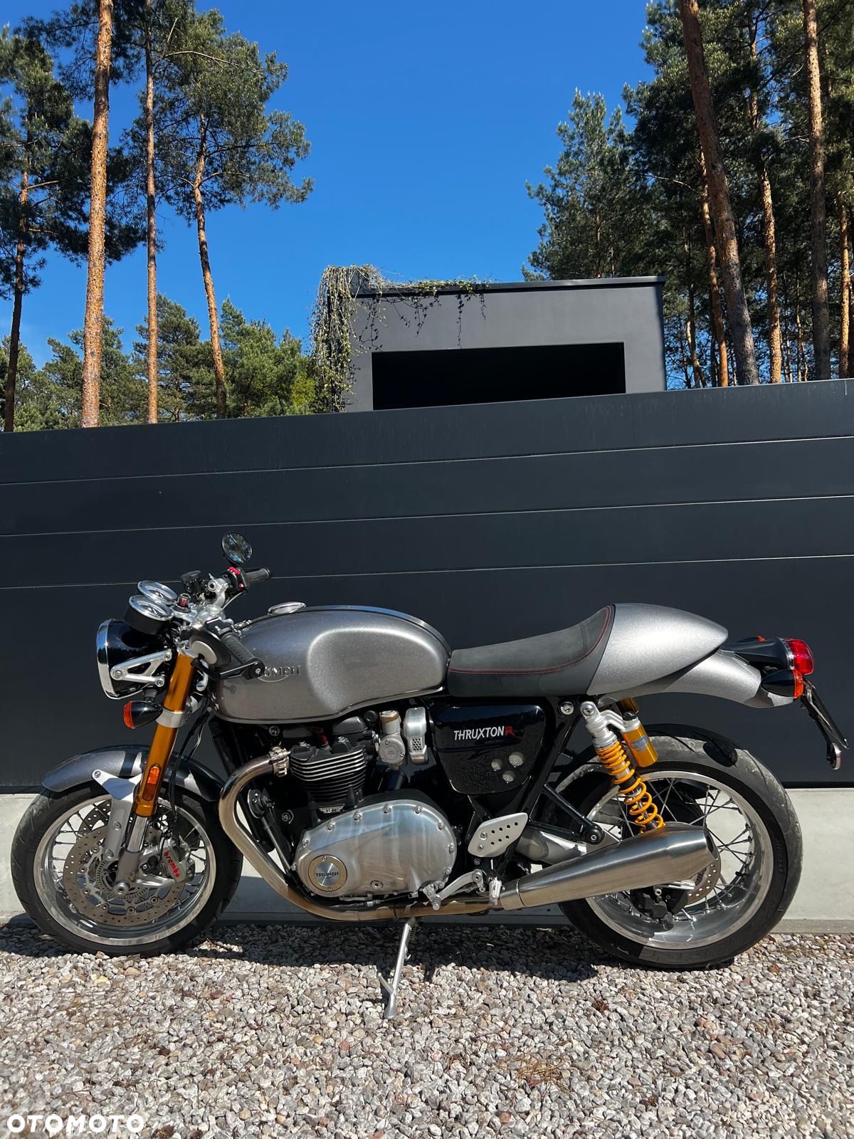 Triumph Thruxton - 1