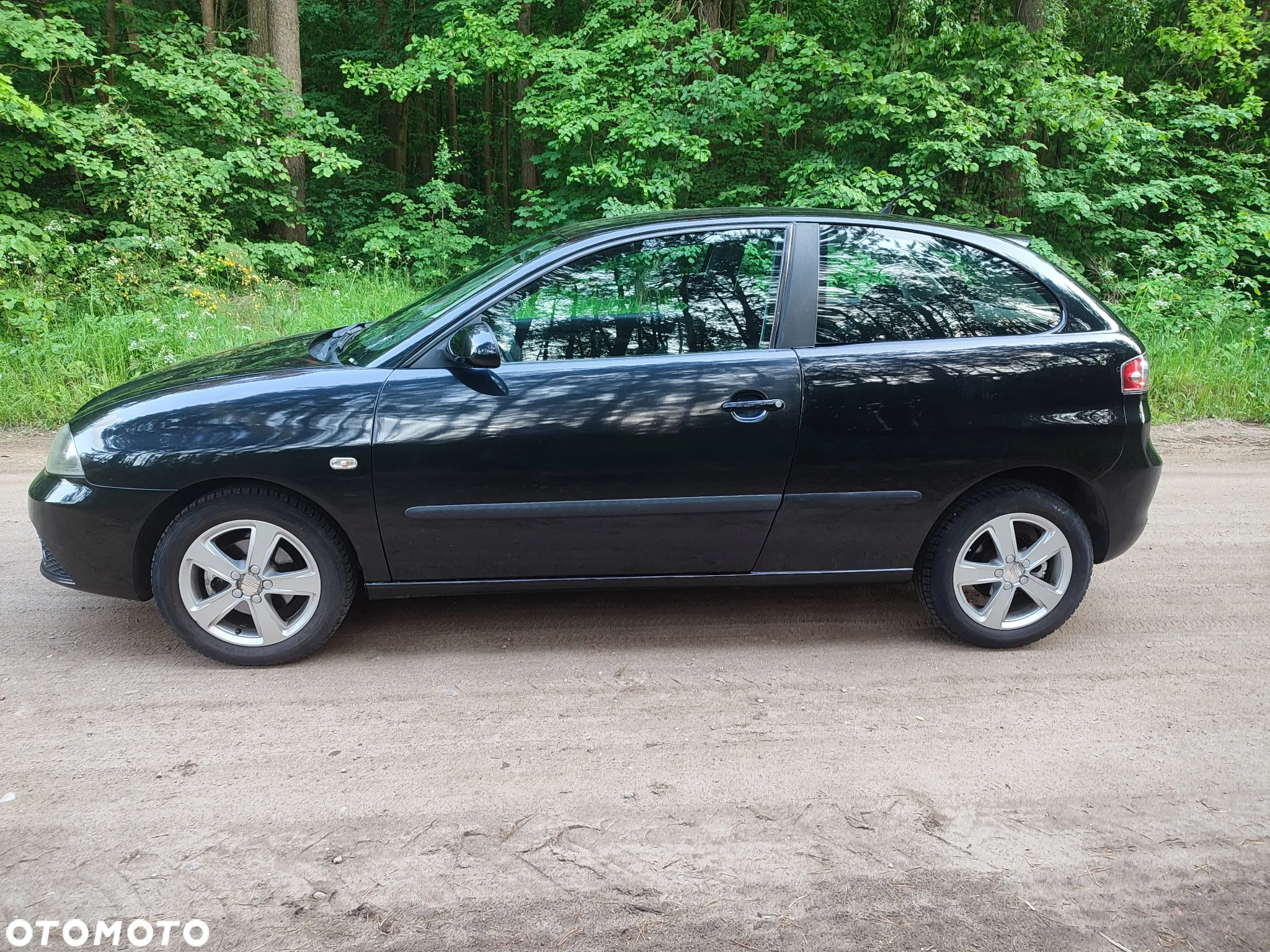 Seat Ibiza - 2
