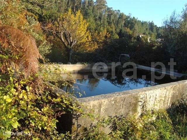 Herdade - Grande imagem: 3/20