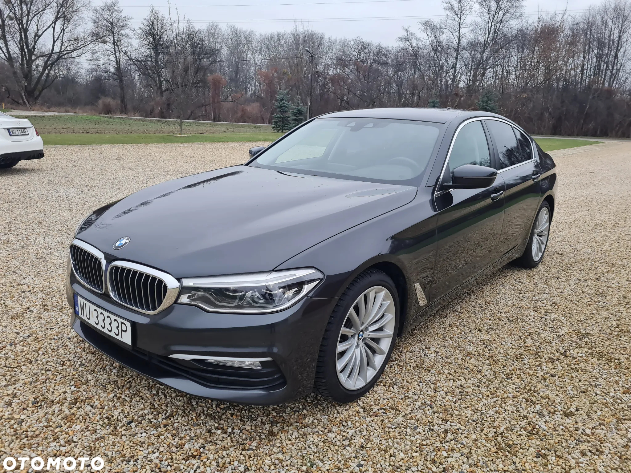 BMW Seria 5 520d Luxury Line - 9