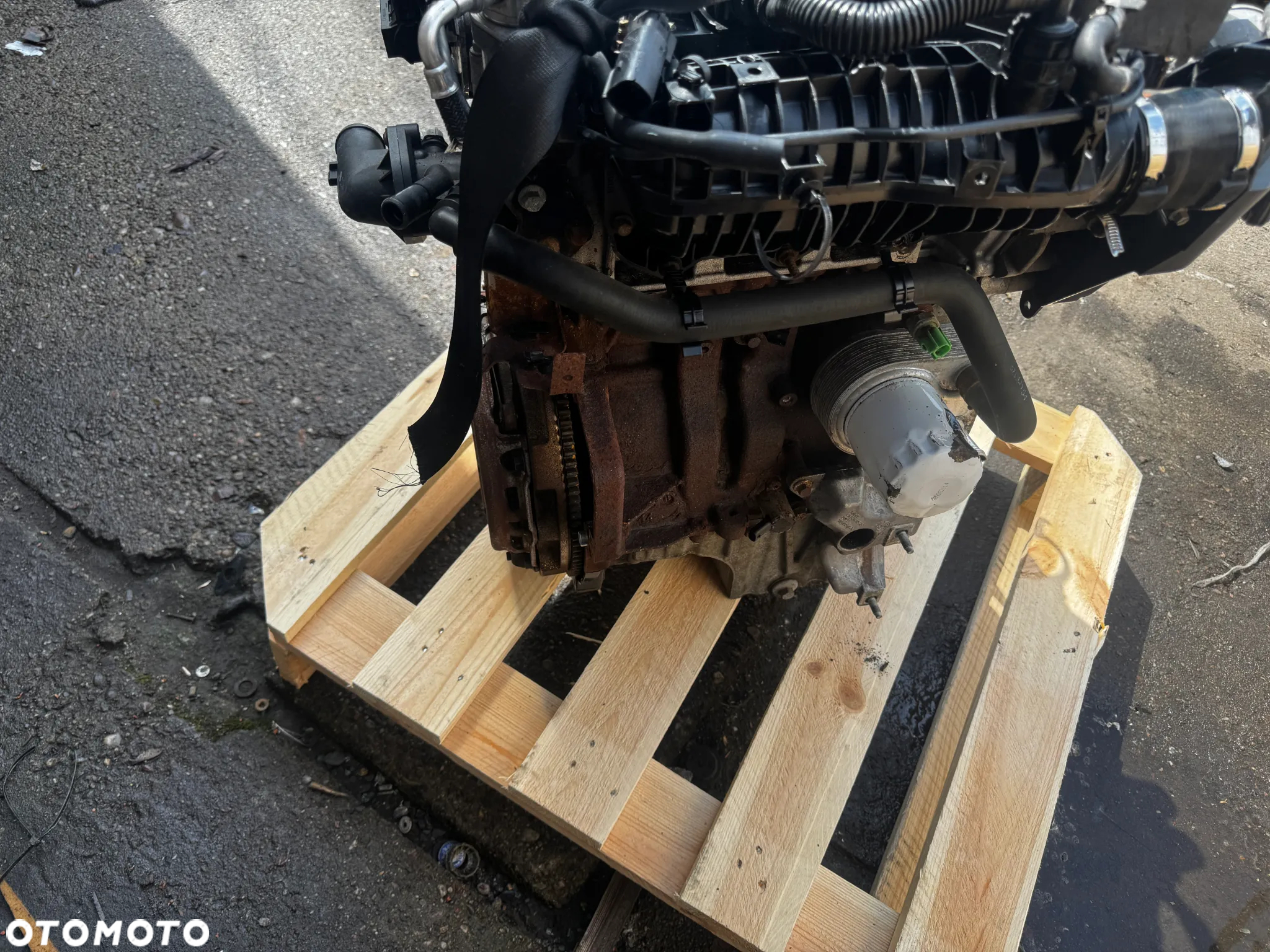 silnik sfja 1.0 ecoboost fiesta komletny 183 tys - 12