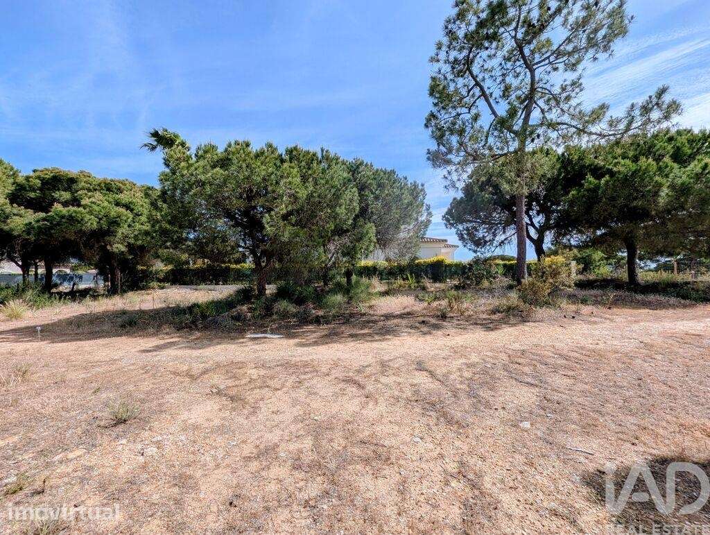 Terreno para construção em Almancil de 890,00 m2 - Grande imagem: 5/13