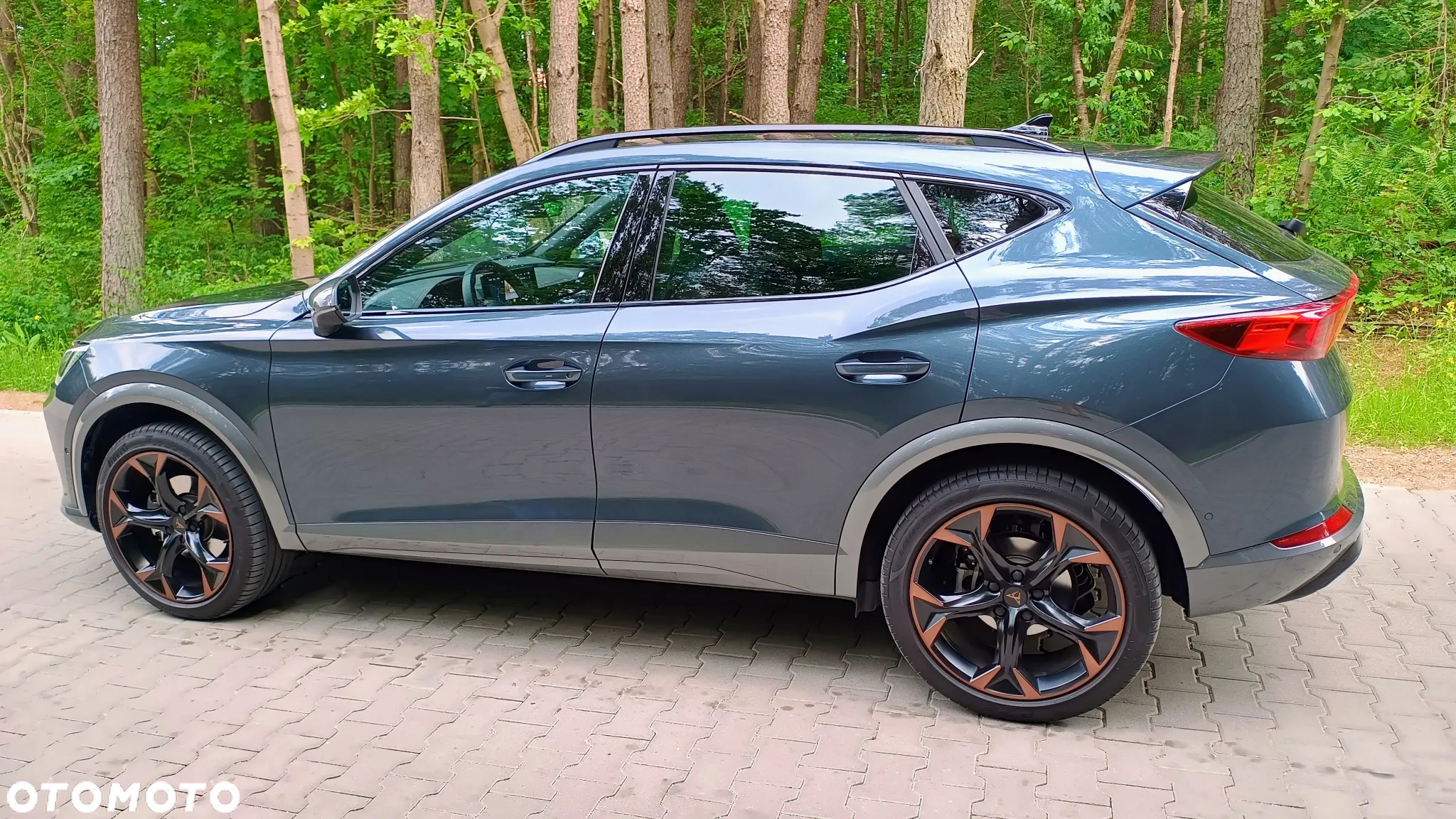 Cupra Formentor 2.0 TDI 4Drive DSG - 22