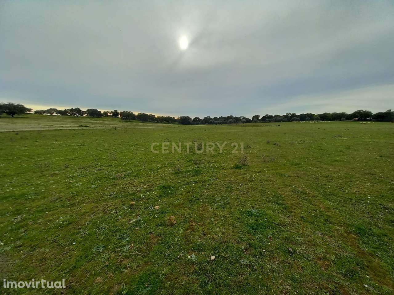 Herdade com 17,2ha na localidade de  Zebreira - Grande imagem: 4/34