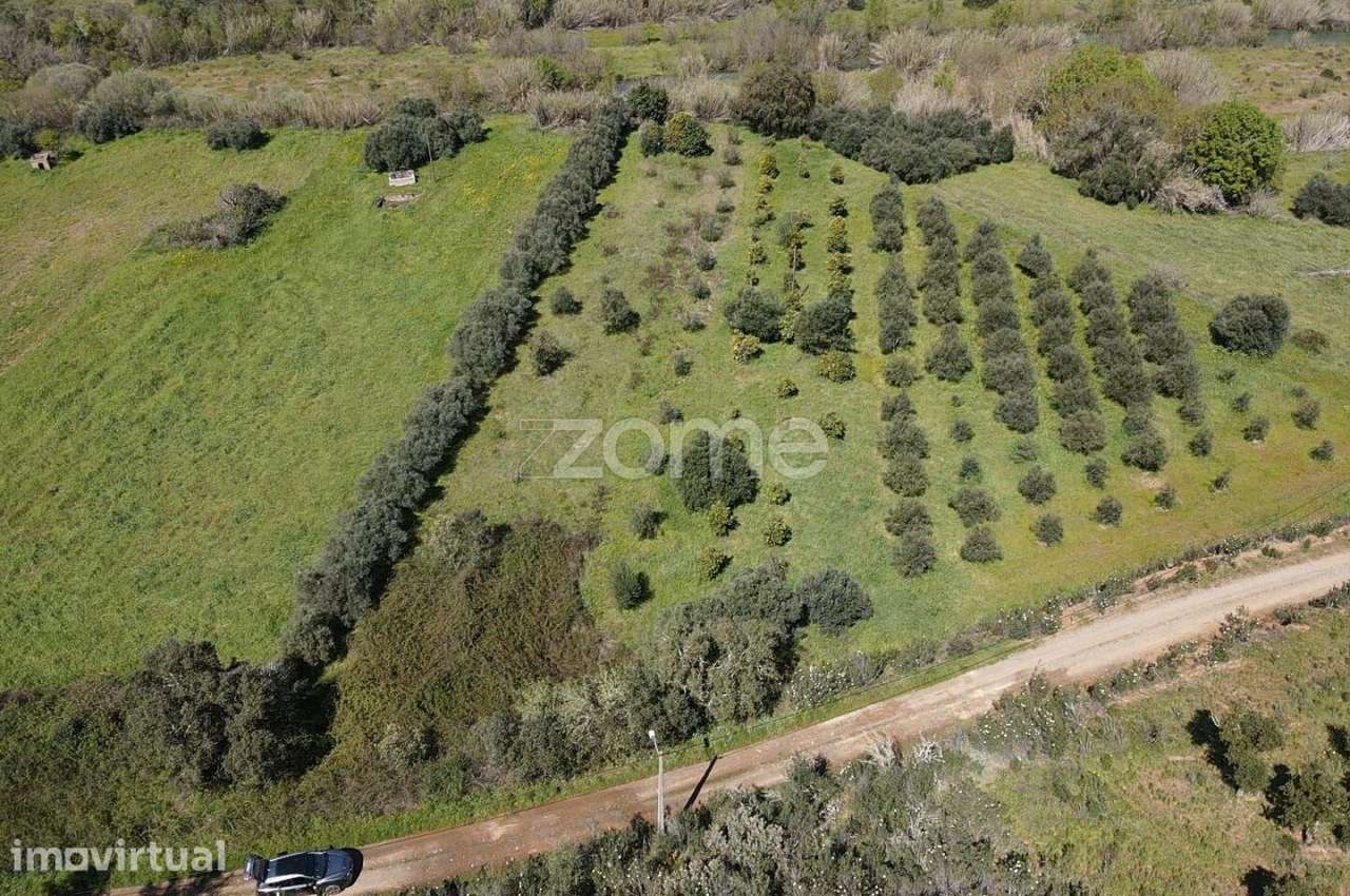 Terreno Rústico com 760m2 em Ribeira de Arade, Messines - Grande imagem: 5/15