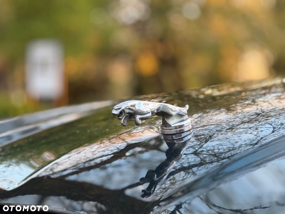 Jaguar XJ XJ6 2.7 Twin Turbo Executive - 12