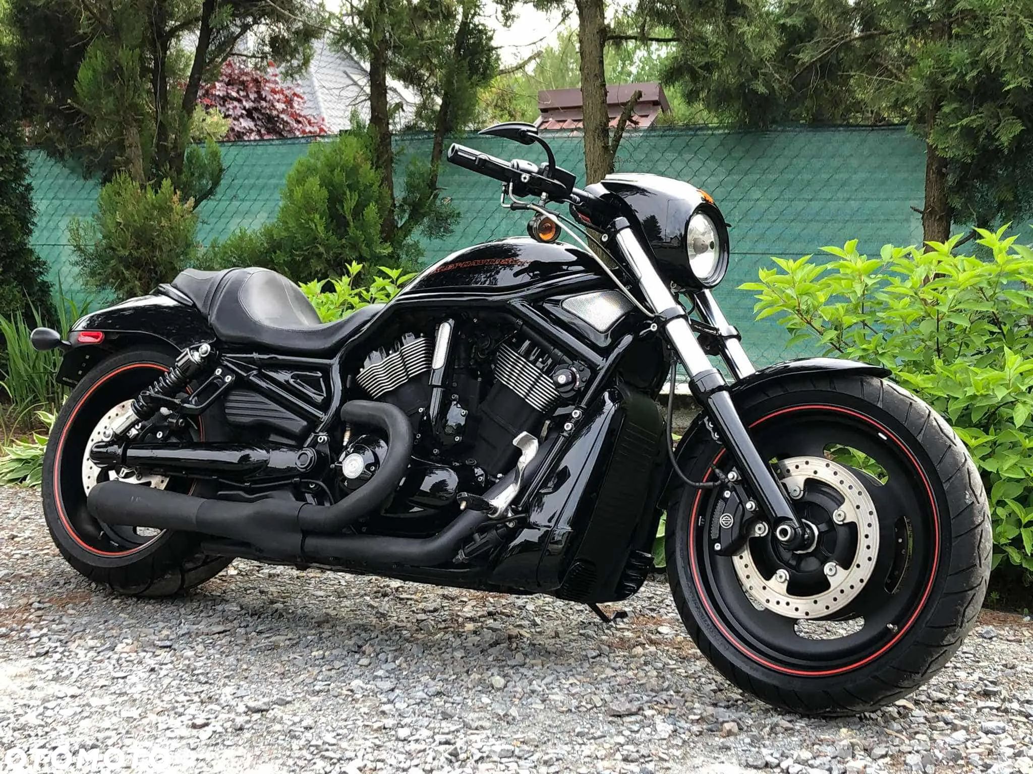 Harley-Davidson V-Rod Night Rod - 1