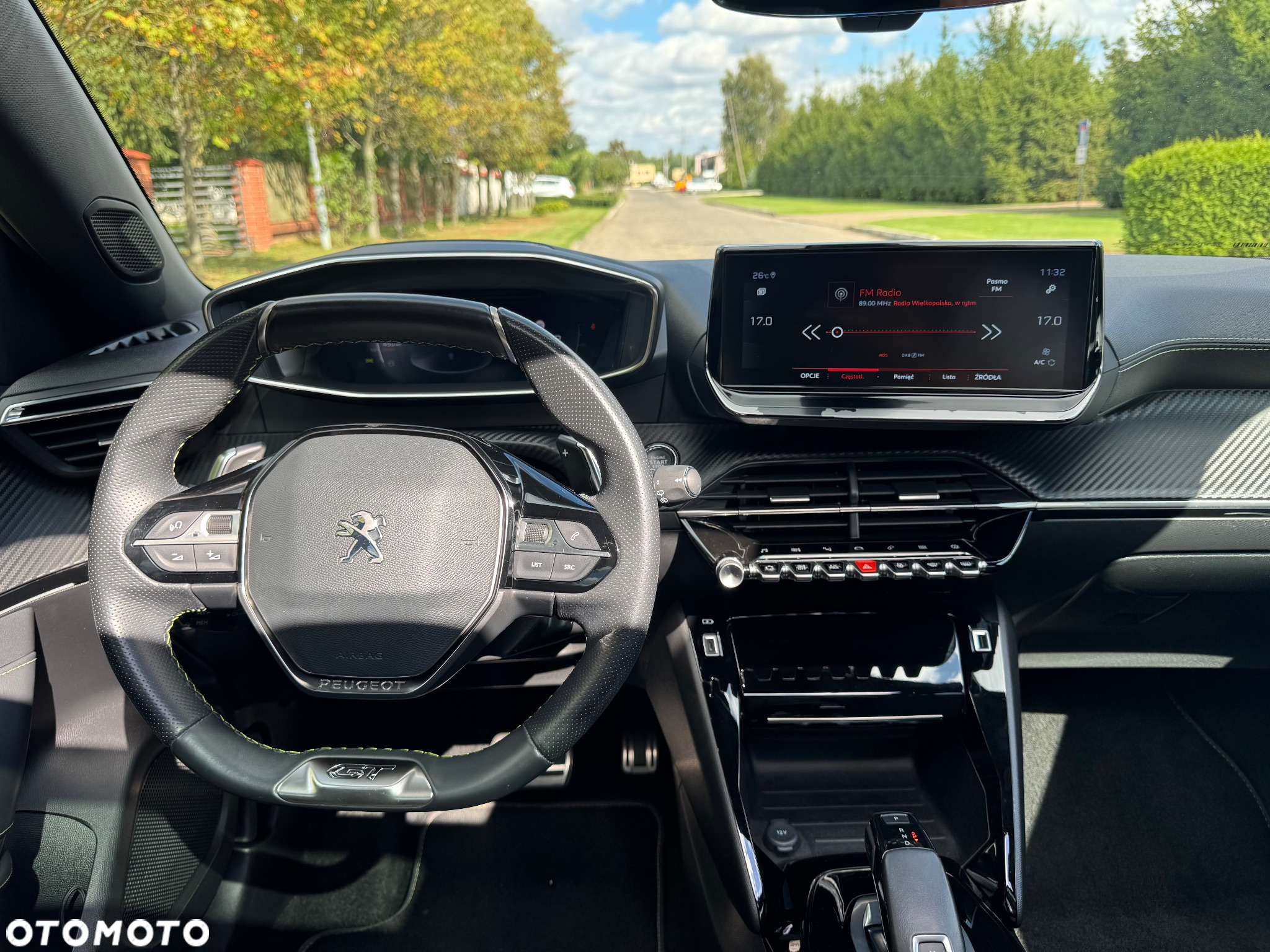 Peugeot 2008 1.5 BlueHDi GT Line S&S EAT8 - 12