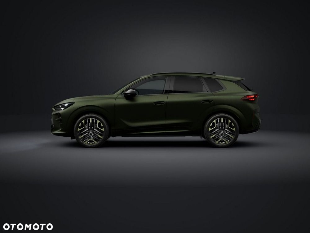 Cupra Terramar - 2