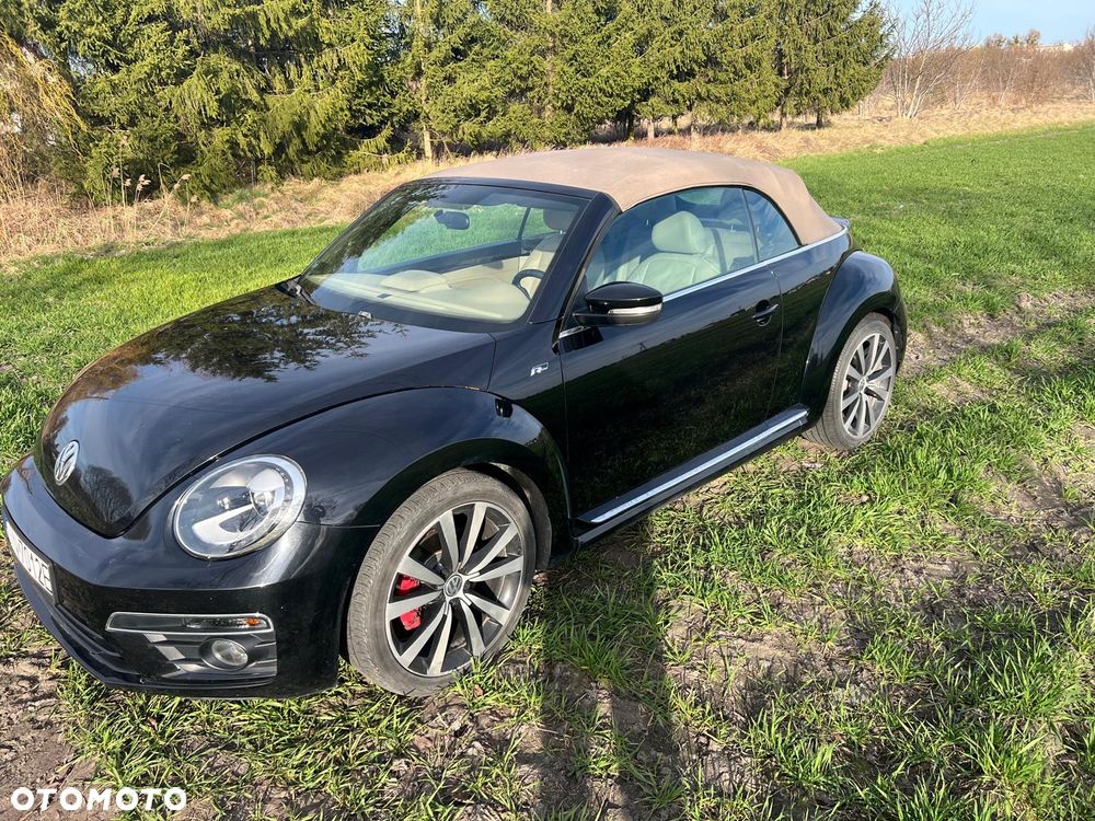 Volkswagen Beetle - 1