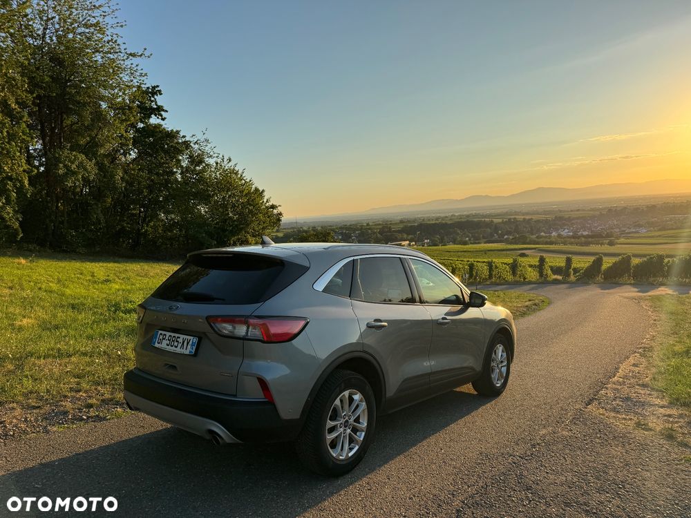 Ford Kuga 2.0 EcoBlue AWD Titanium - 7