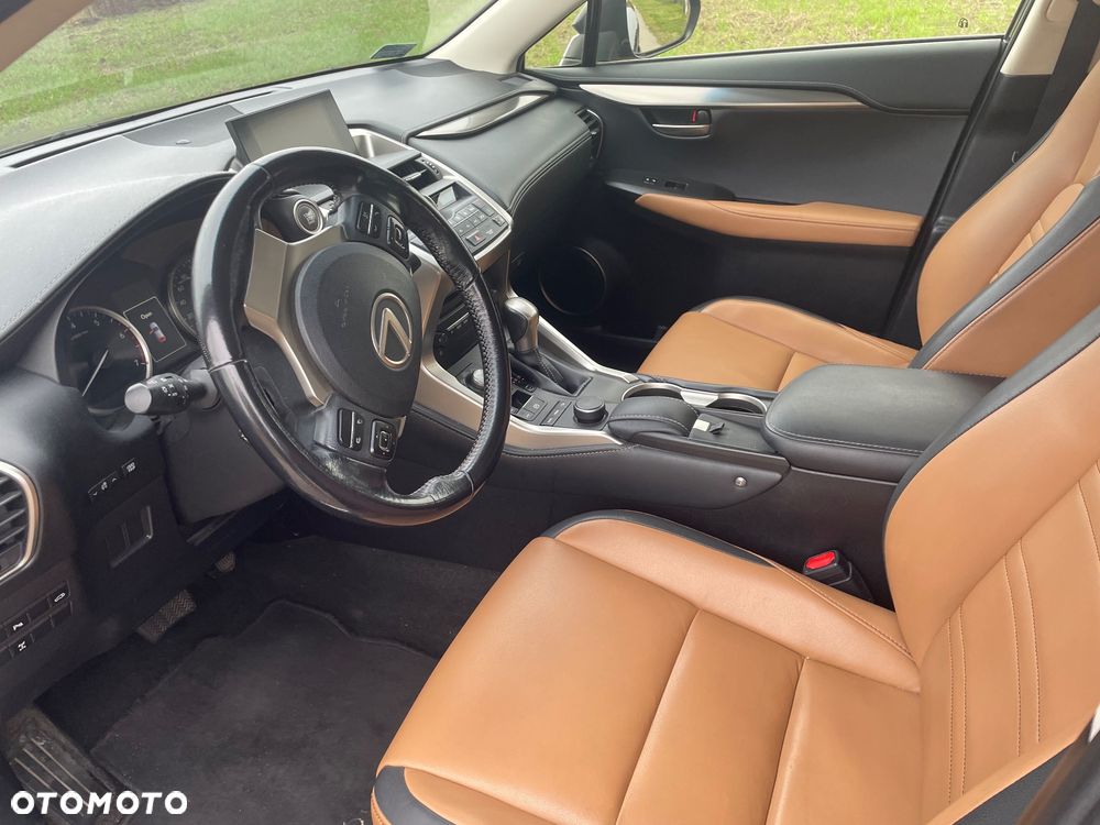 Lexus NX - 10