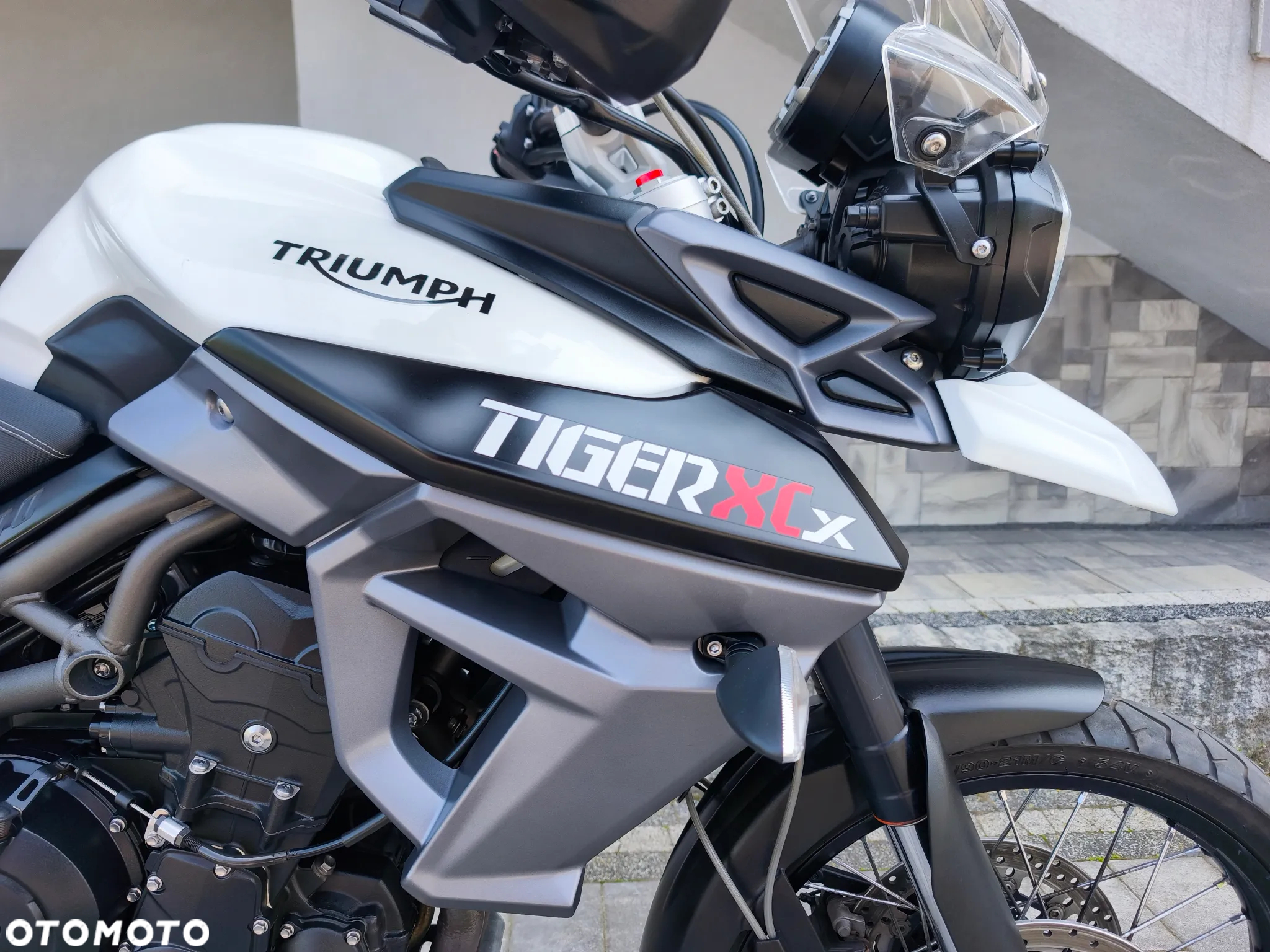 Triumph Tiger - 5