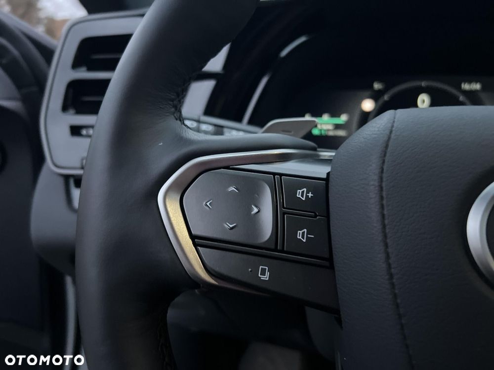 Lexus RX 450h+ Prestige - 24