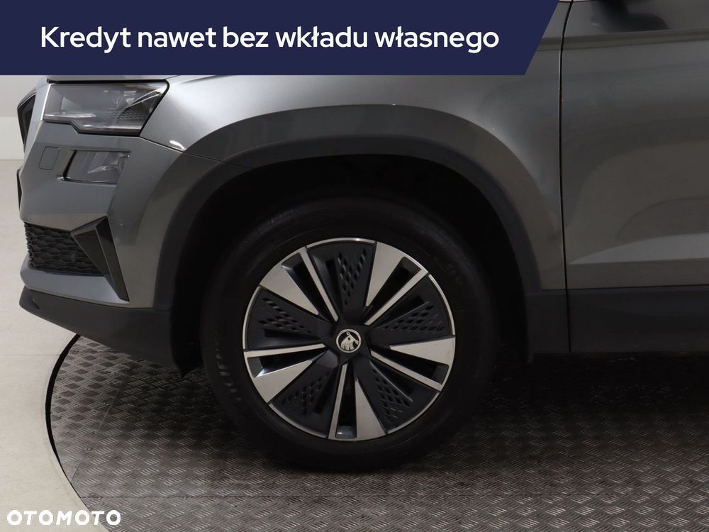 Skoda Karoq - 14