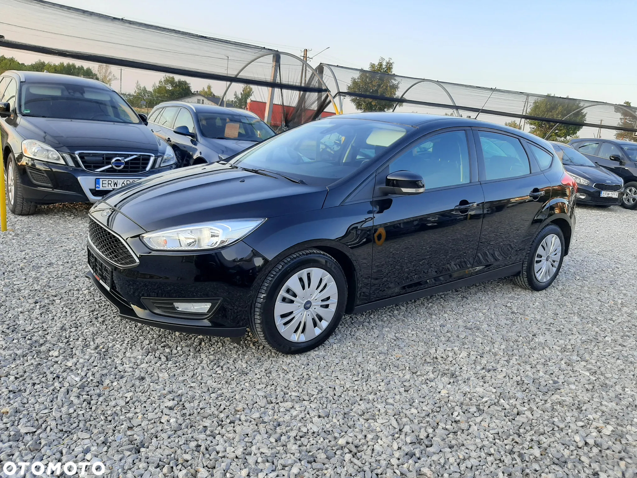 Ford Focus 1.5 EcoBlue Titanium - 10