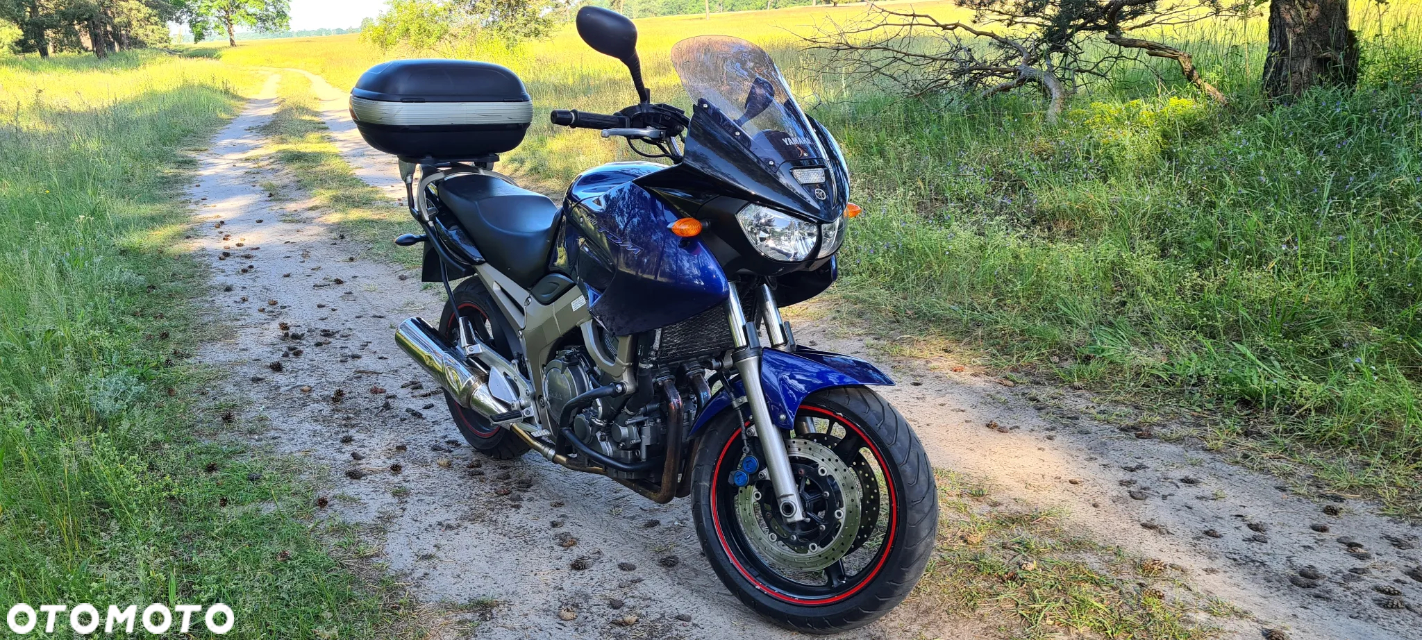 Yamaha TDM - 9