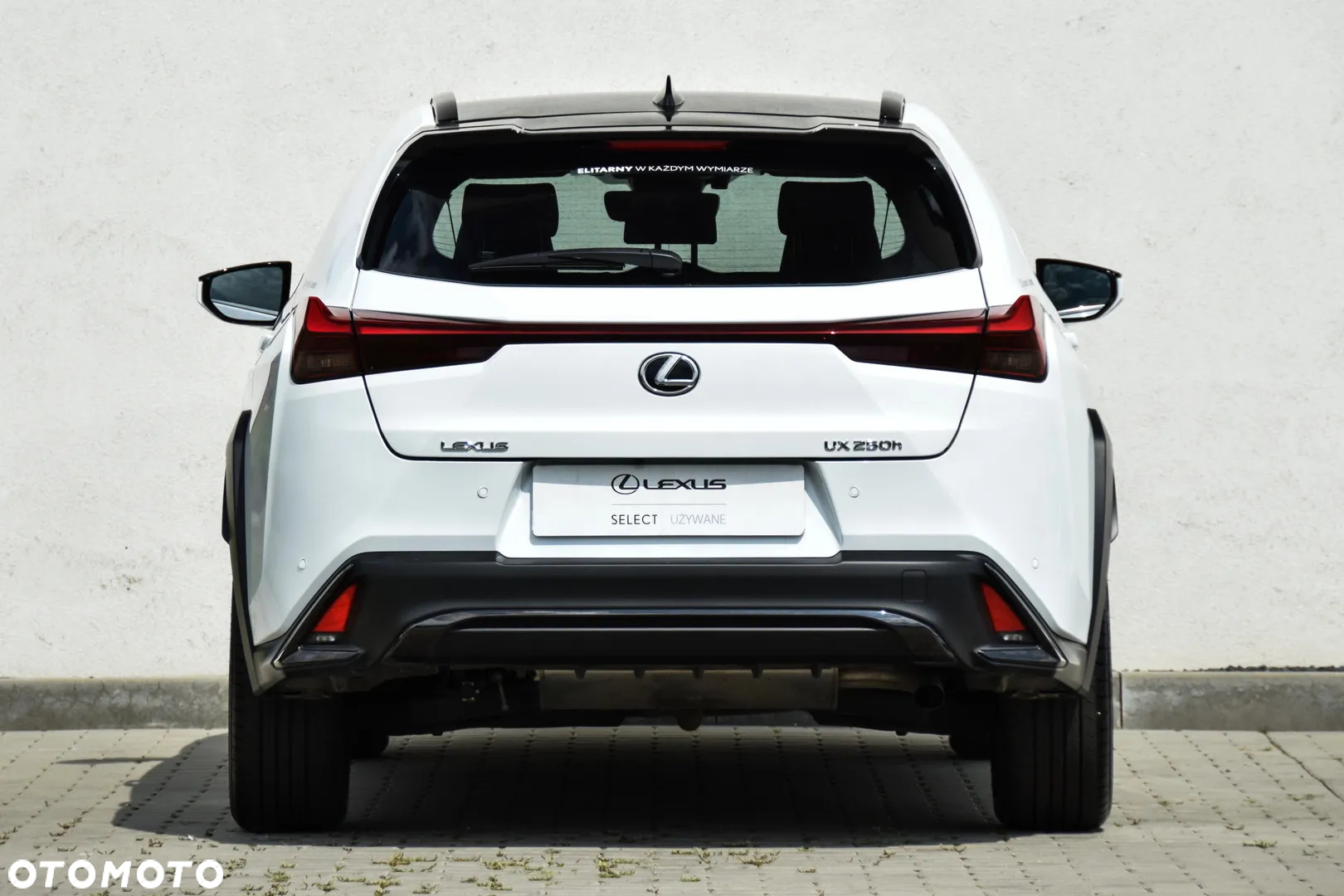 Lexus UX 250h GPF F Sport Design+ 2WD - 11