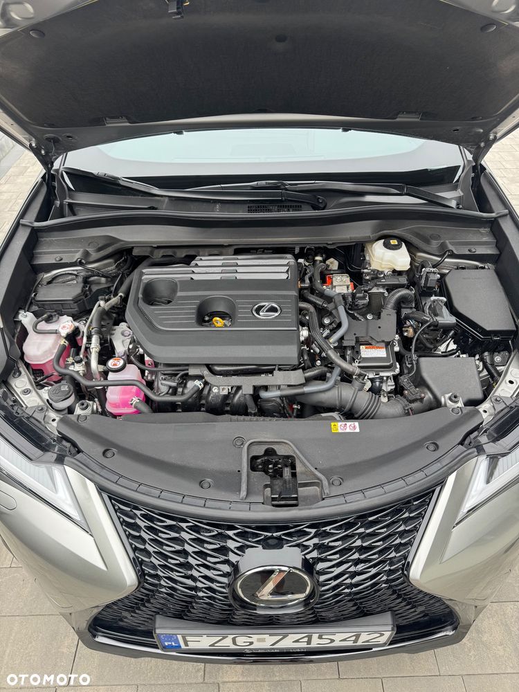 Lexus UX 250h F Sport 2WD - 10