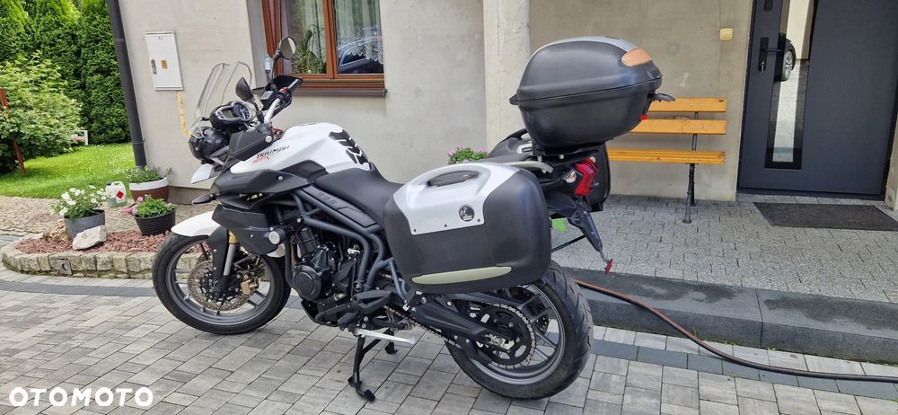 Triumph Tiger - 3