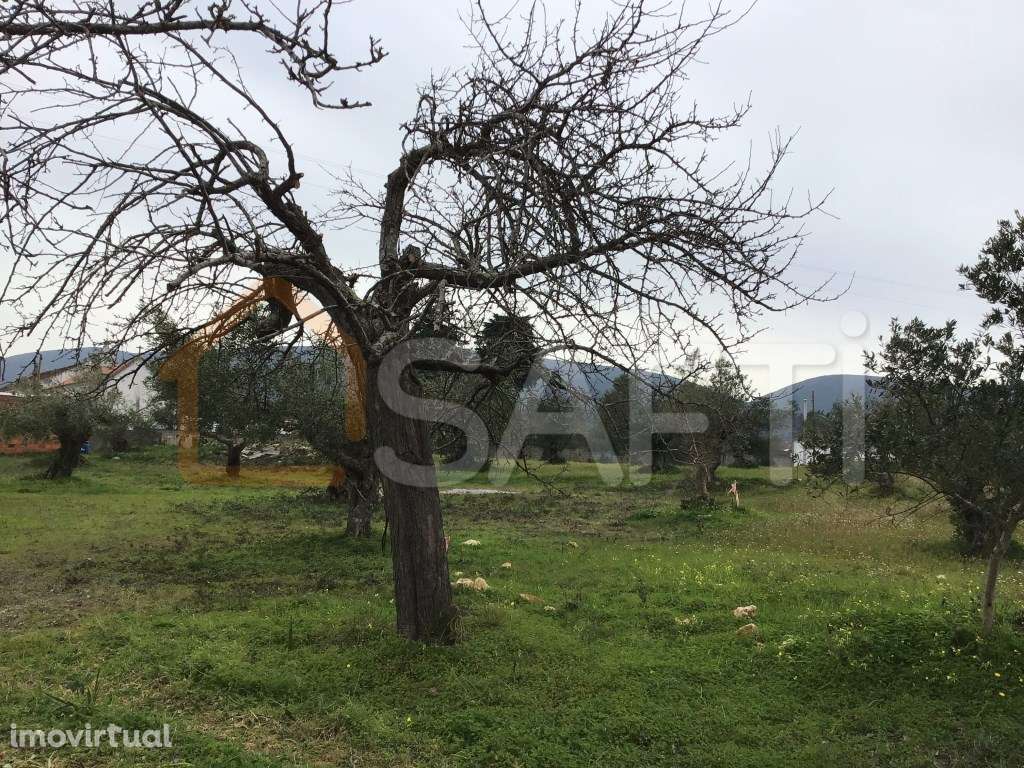 Venda - Terreno para construção. 685 m2 Pedrogão - Torres Novas - Grande imagem: 3/6