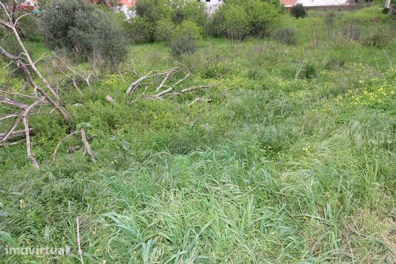 Terrenos Urbanos nas Portelas - Grande imagem: 5/6