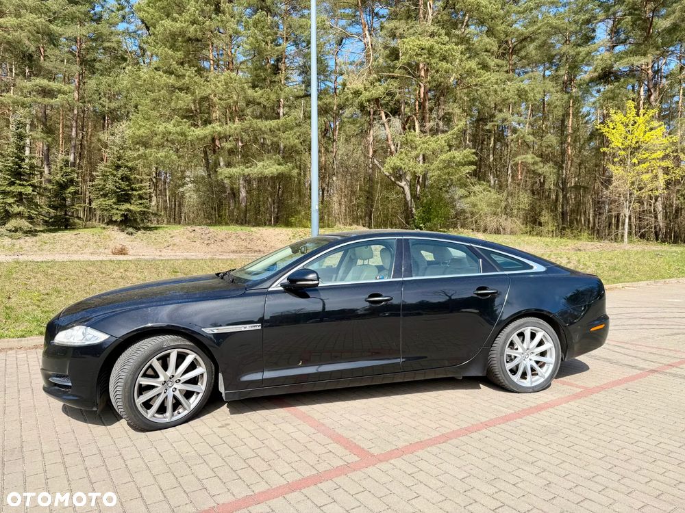 Jaguar XJ 3.0 D V6 LWB Premium Luxury - 2