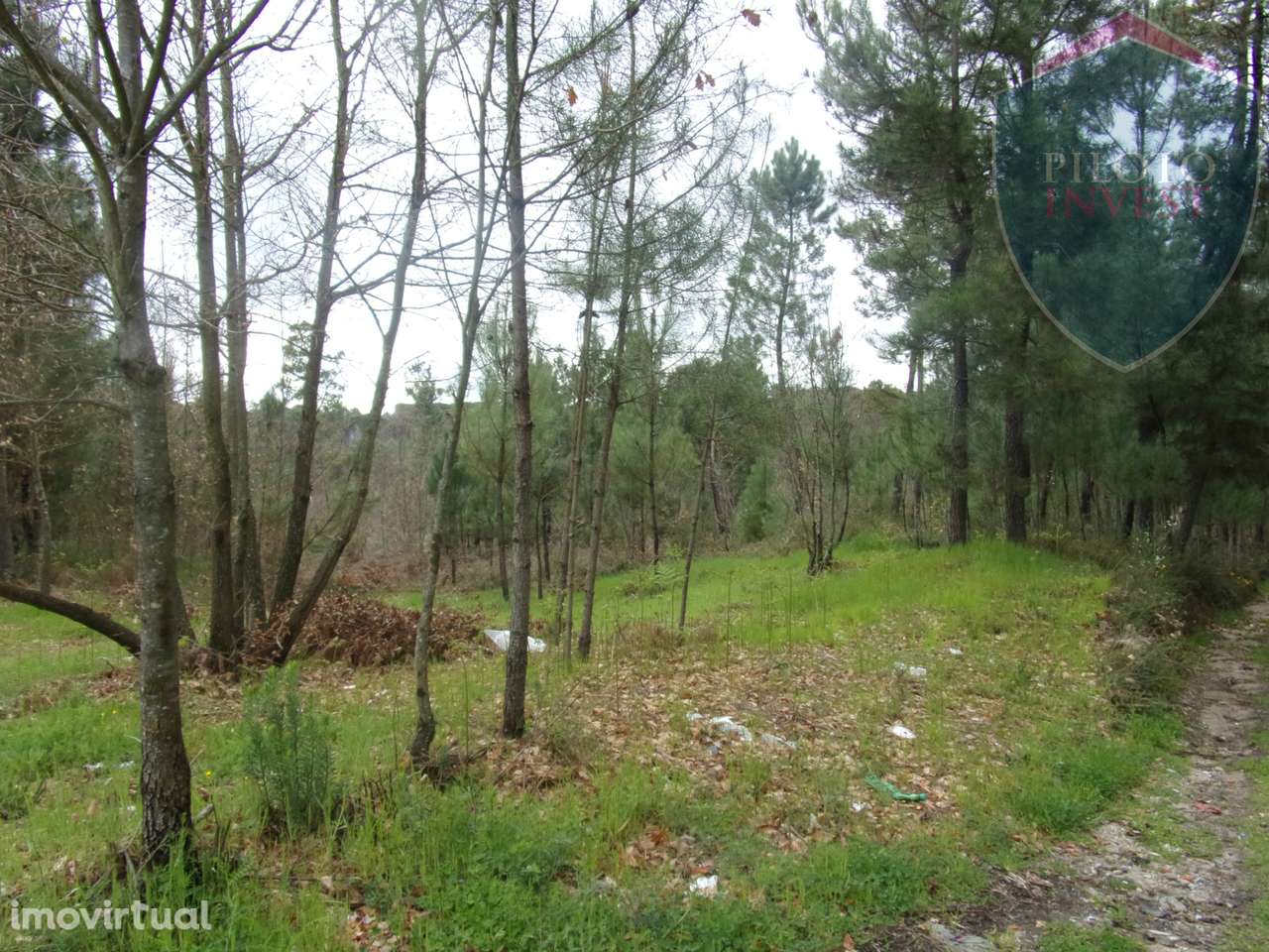 Terreno Para Construção  Venda em Silgueiros,Viseu - Grande imagem: 2/12