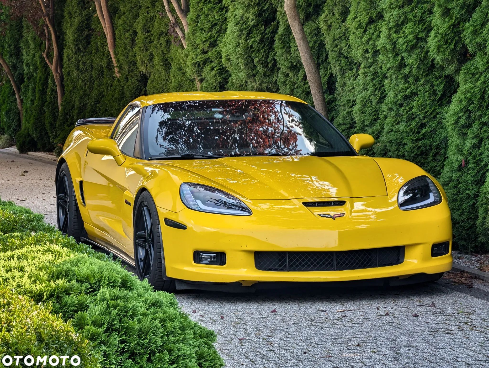 Chevrolet Corvette Z06 - 1