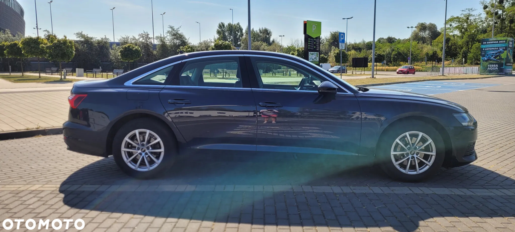 Audi A6 - 13