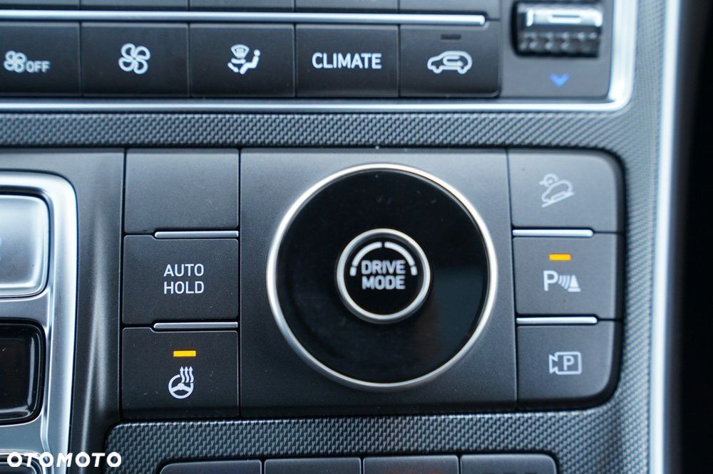 Hyundai Santa Fe - 31